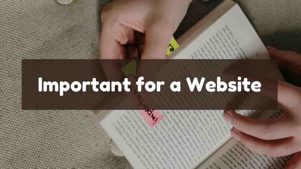 Why Is SEO Important for a Website